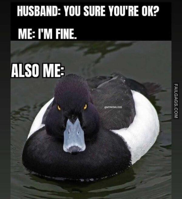 Funny Marriage Memes 13