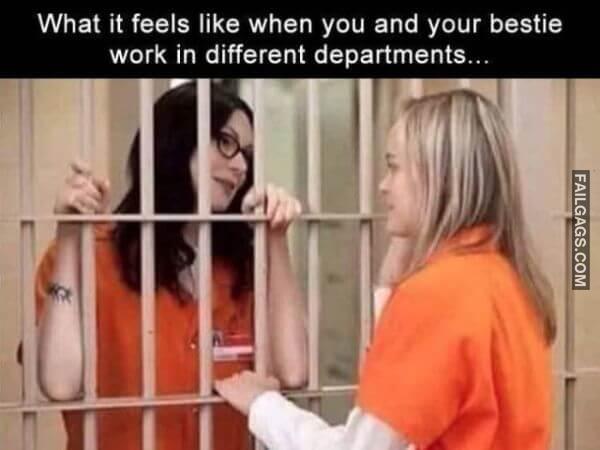 Random Funny Memes 1 5