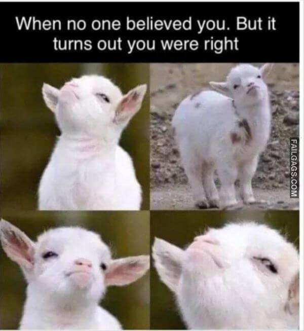 Random Funny Memes 14 3