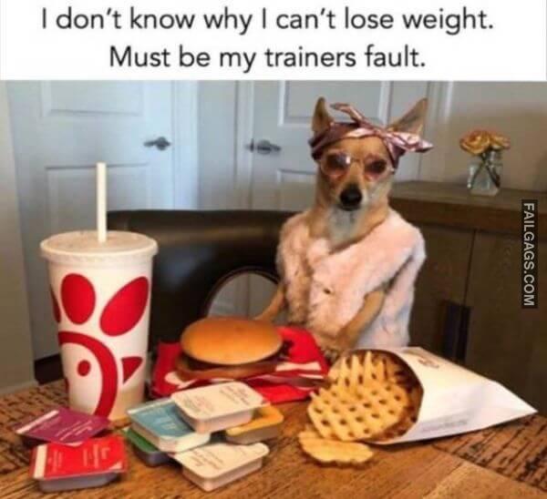 Random Funny Memes 15 4
