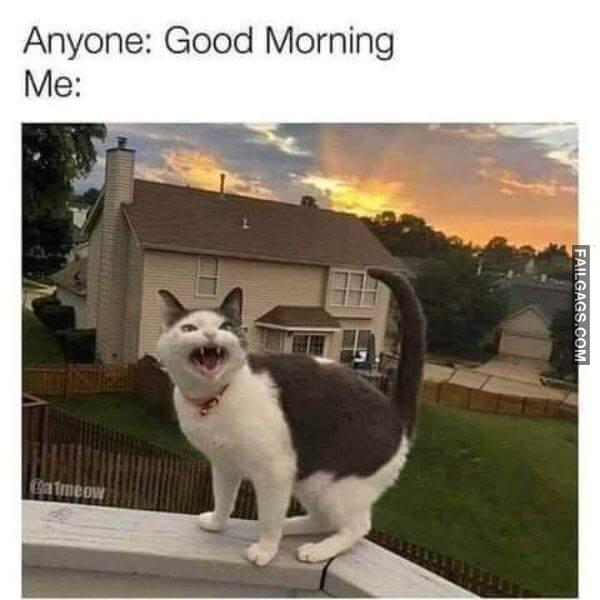 Random Funny Memes 10