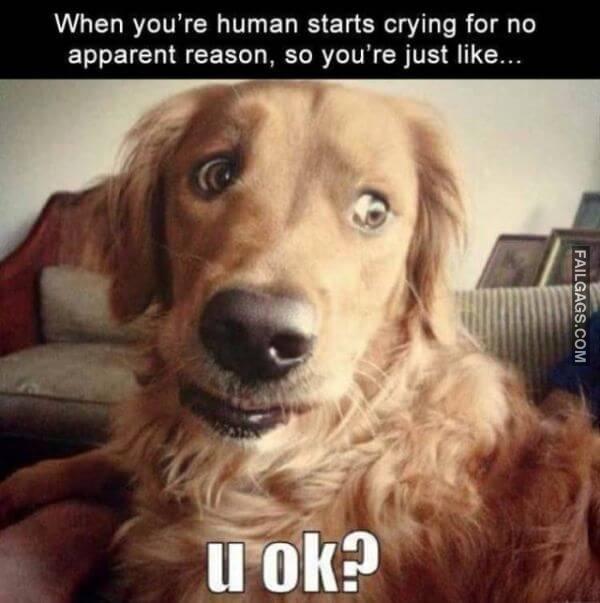 Random Funny Memes 2 4