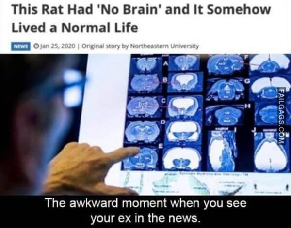 Random Funny Memes 4 4