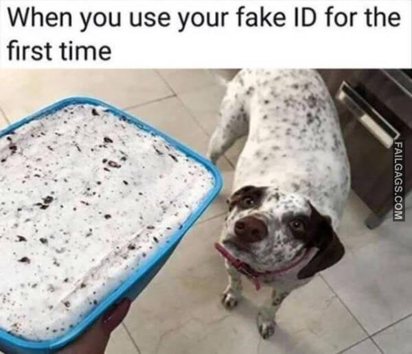 Random Funny Memes 9 5