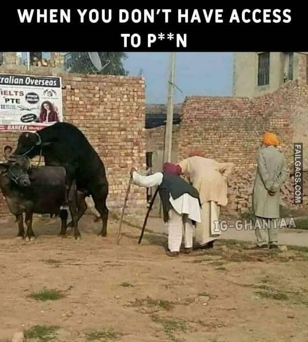 Dirty Indian Memes 11