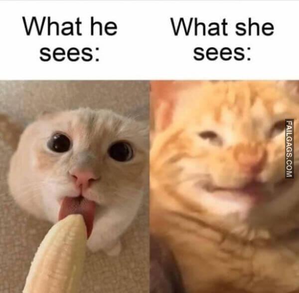 Dirty Memes For Grown Ups 10