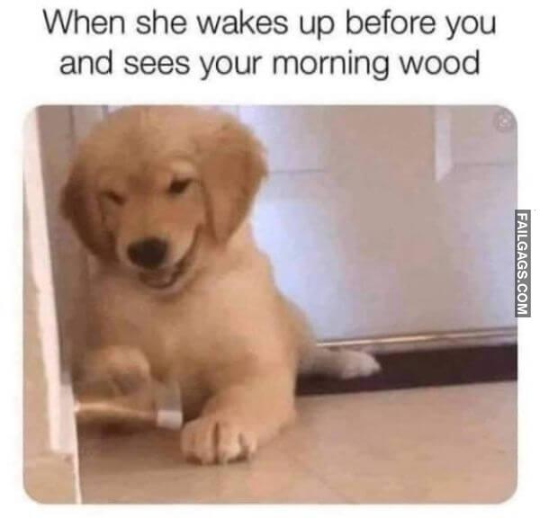 Dirty Memes For Grown Ups 8