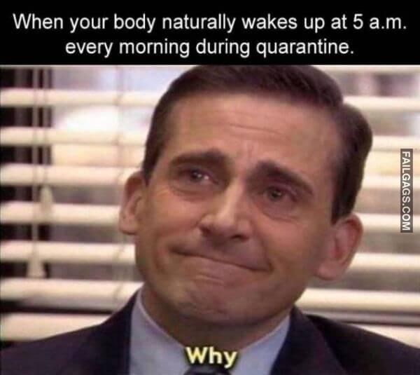 Funny Adult Memes 3 1