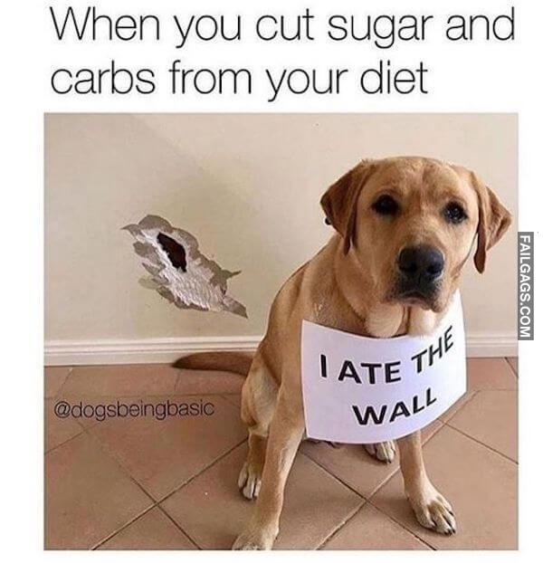 Funny Diet Memes 2