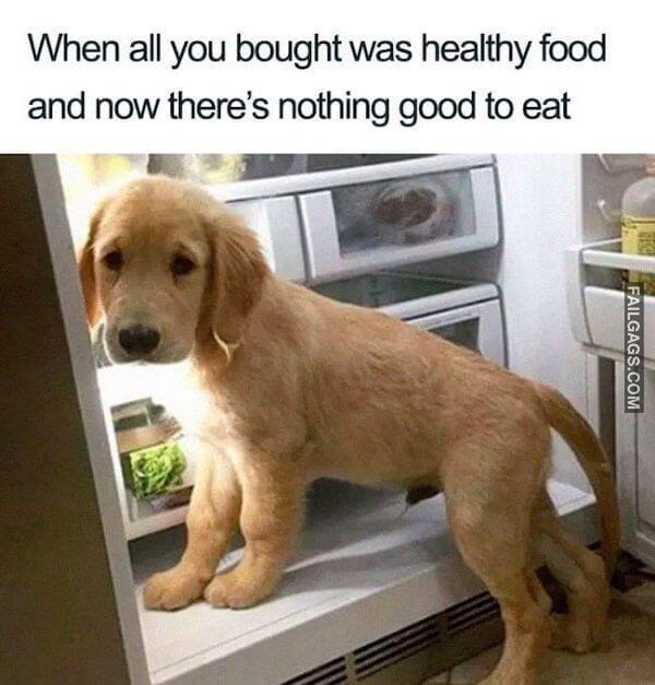 Funny Diet Memes 6
