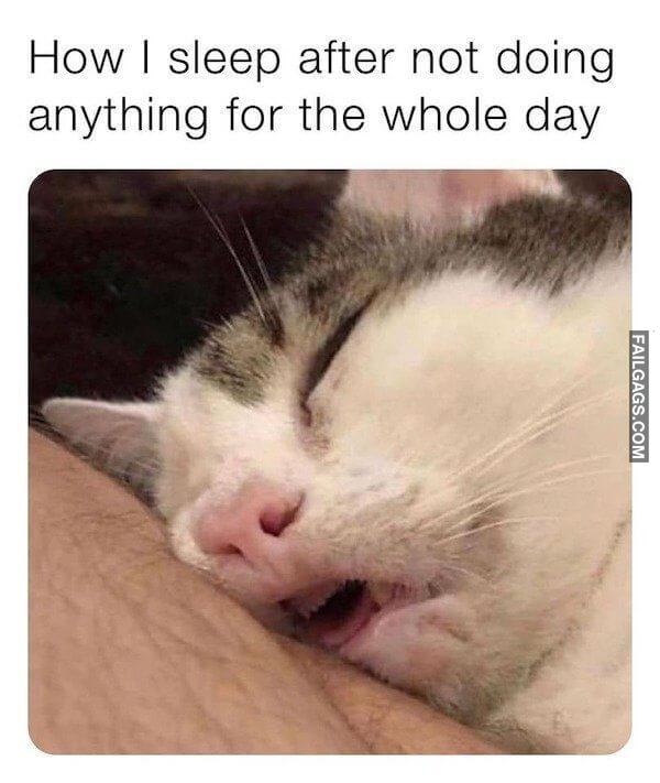 Funny So True Memes 9