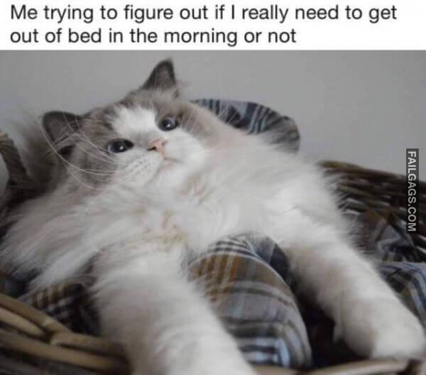 Random Funny Memes 10