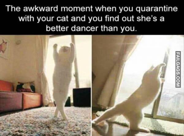 Random Funny Memes 3 10