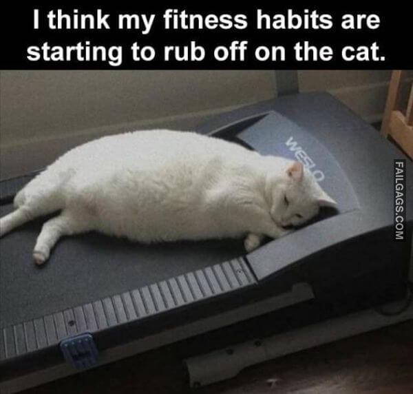Random Funny Memes 3 8