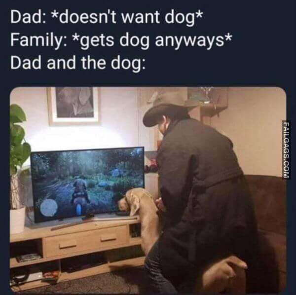 Random Funny Memes 6 4