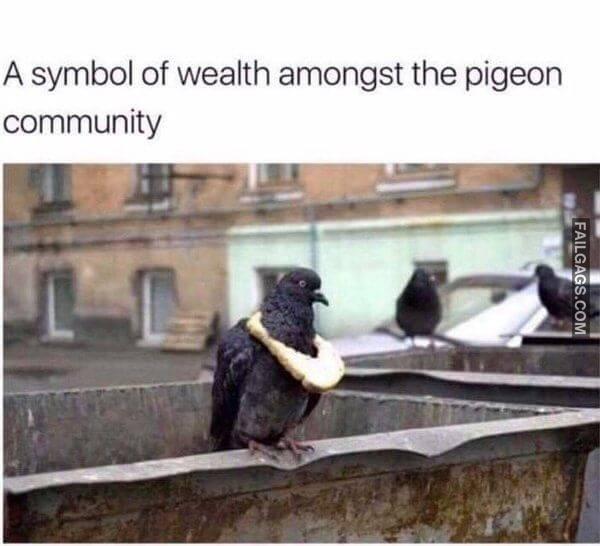 Random Funny Memes 7 2