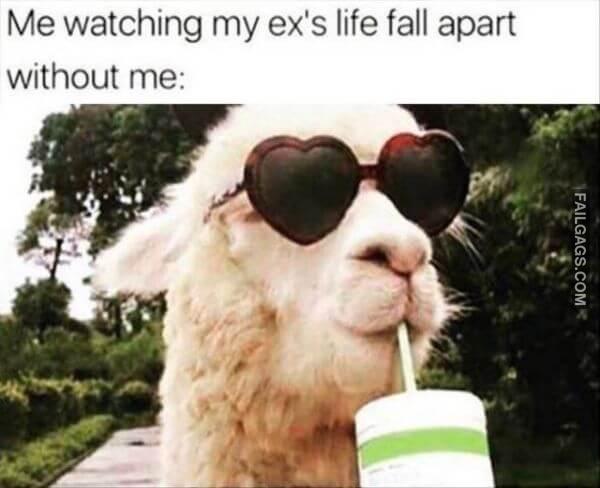 Random Funny Memes 7 6
