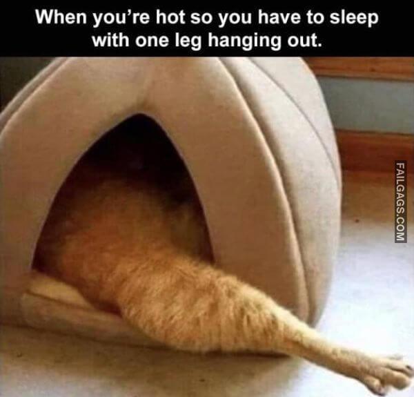 Random Funny Memes 7 7