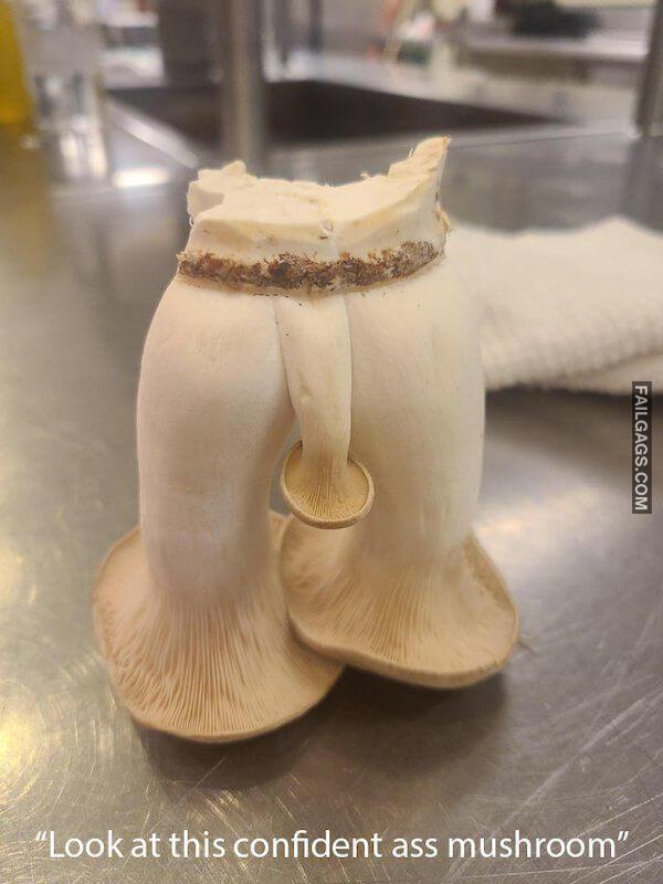 Dirty Humor 4