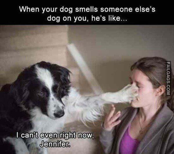 Funny So True Memes 1