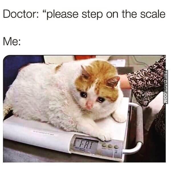 Funny So True Memes 12