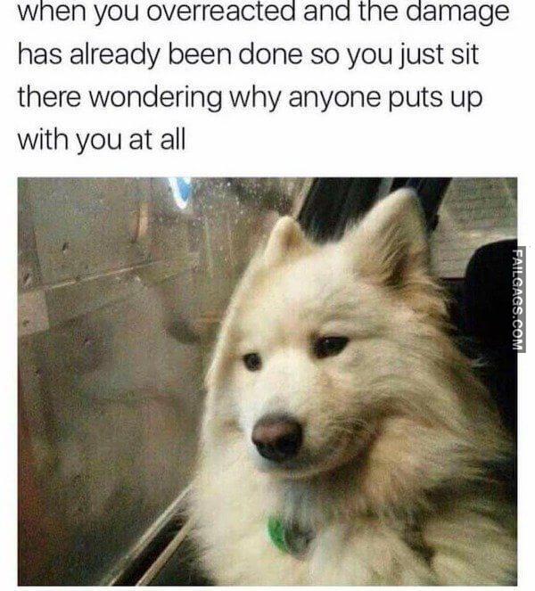 Funny So True Memes 6 1