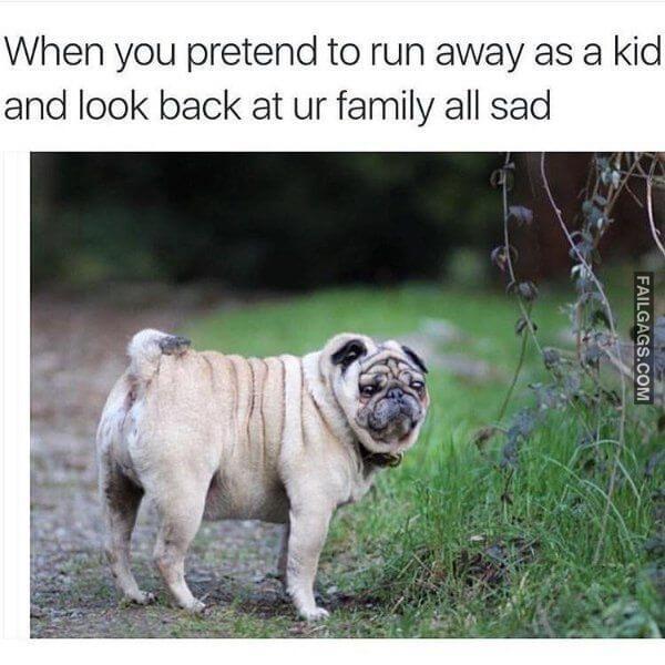 Random Funny Memes 11 12
