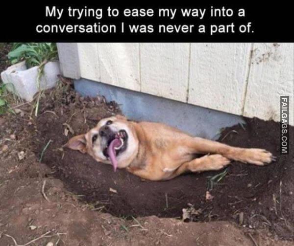 Random Funny Memes 12 1