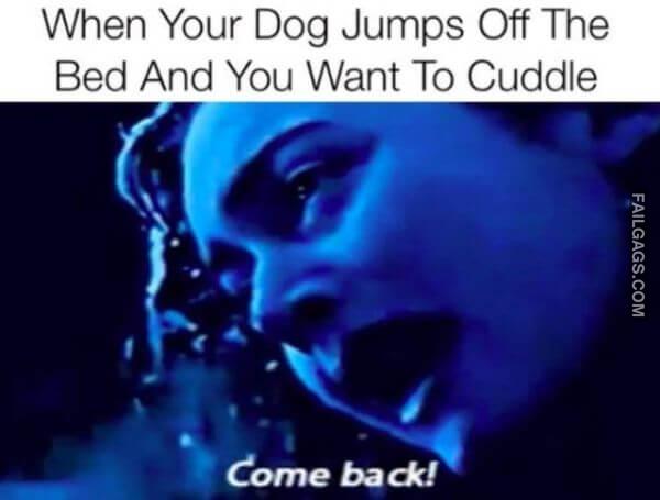 Random Funny Memes 12 4