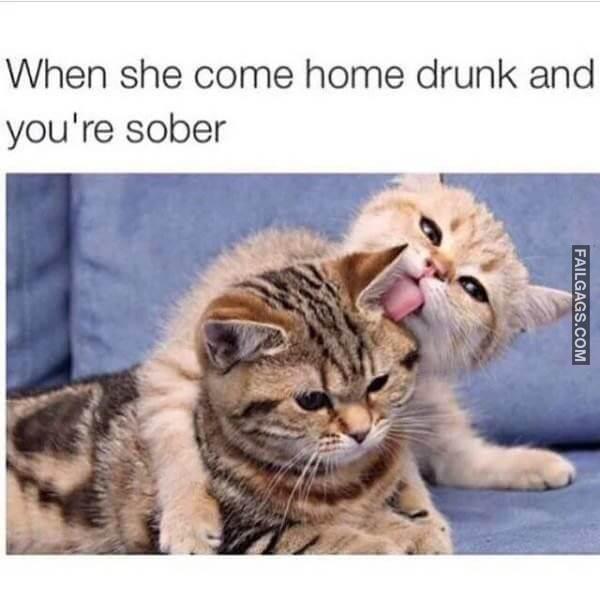 Random Funny Memes 14 6