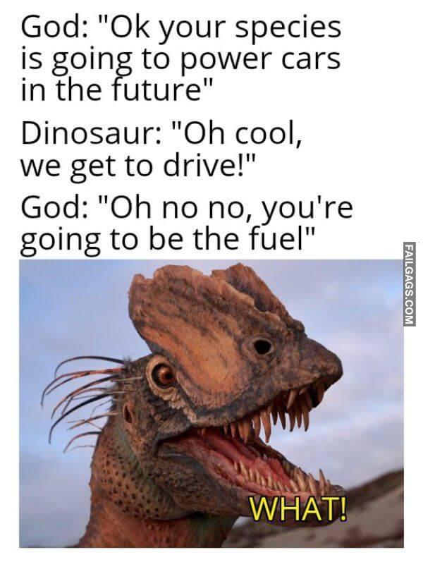 Random Funny Memes 16 1