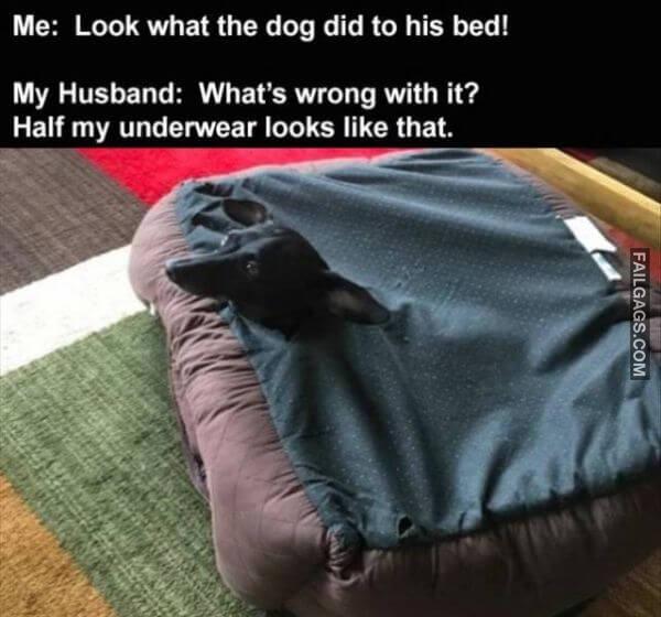 Random Funny Memes 16