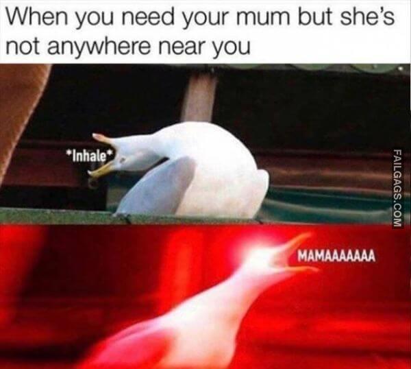 Random Funny Memes 2 1