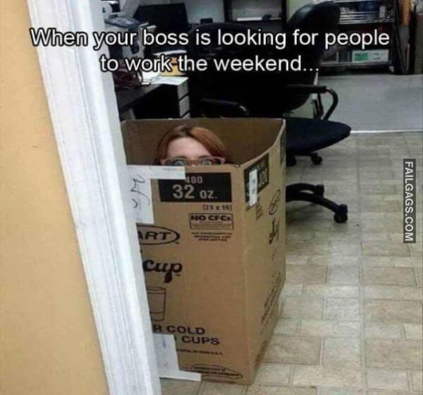 Random Funny Memes 6 12