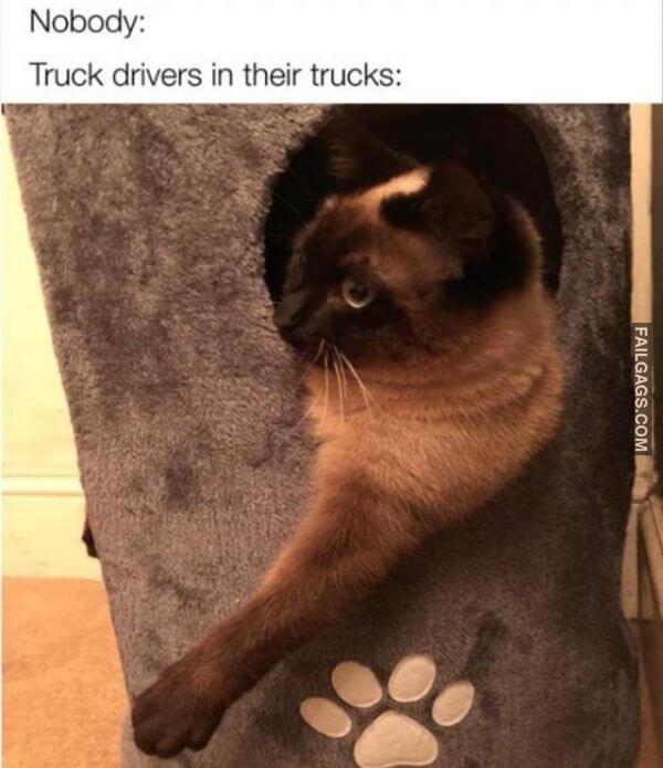 Random Funny Memes 6 2