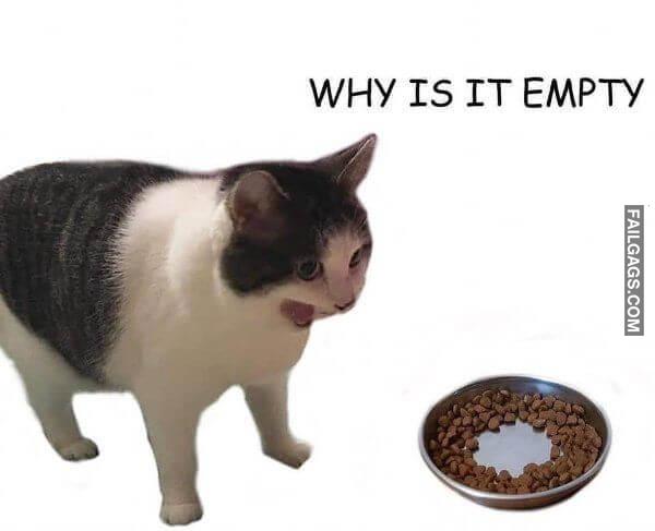 Random Funny Memes 7 12