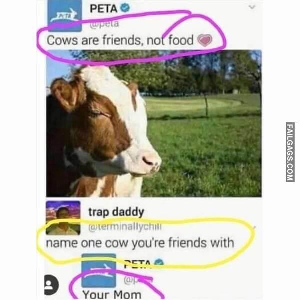 Random Funny Memes 9 1