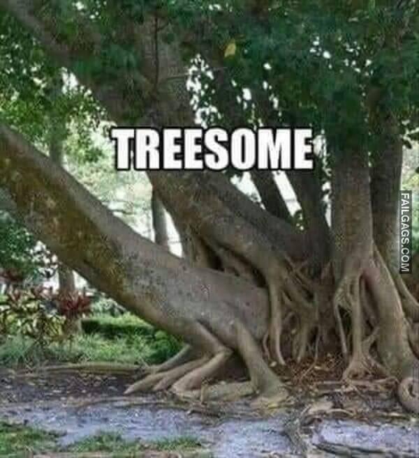 Funny Adult Memes 14