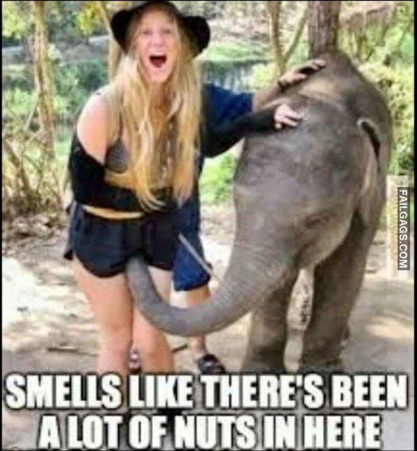 Funny Memes for Adults 11