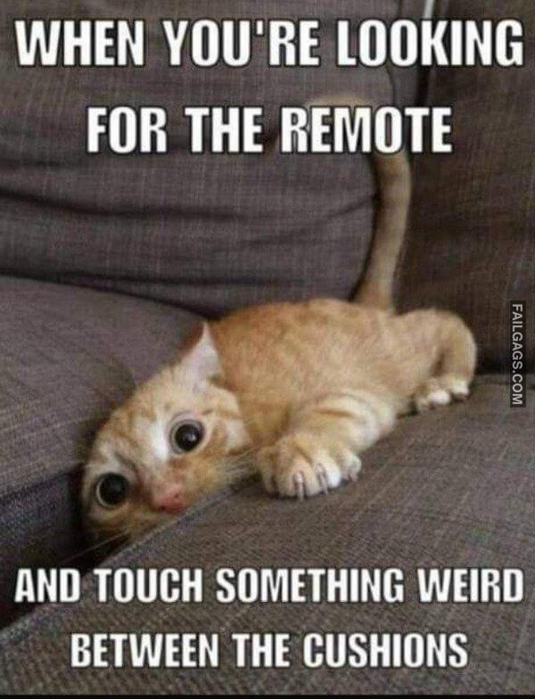 Funny Memes for Adults 6