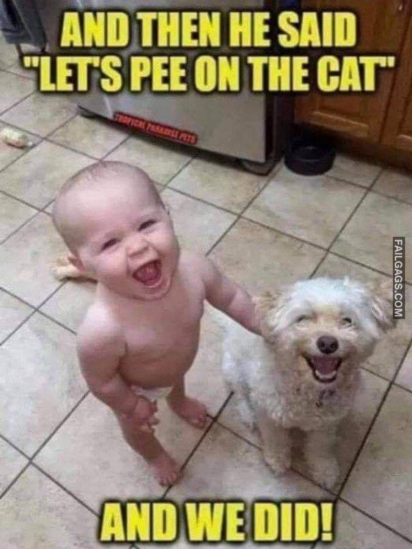 Funny Memes for Adults 7