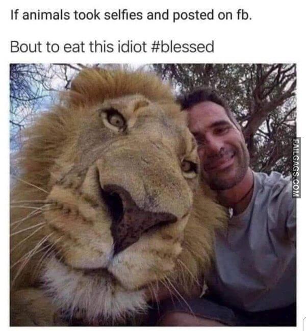 Random Funny Memes 1 3