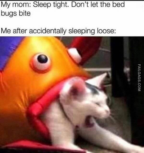 Random Funny Memes 1 4