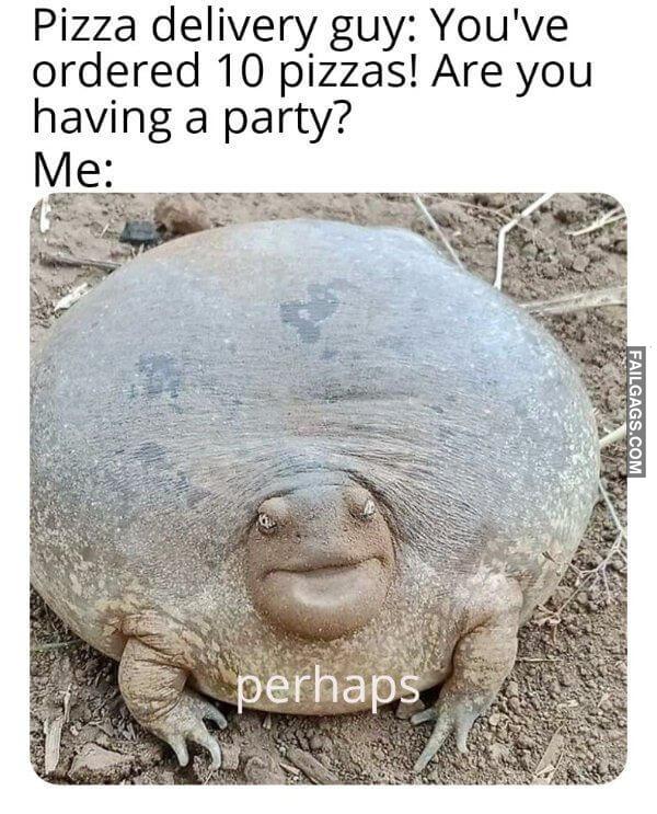 Random Funny Memes 14 1