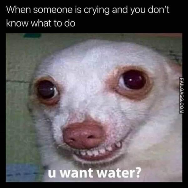 Random Funny Memes 2 3