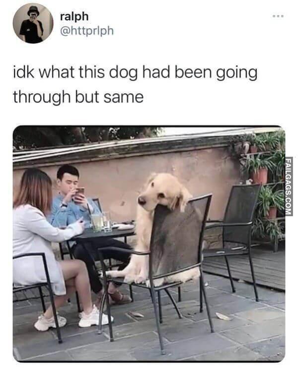 Random Funny Memes 5 4