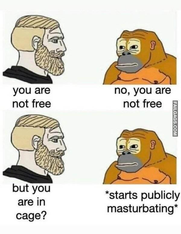 Random Funny Memes 8 4