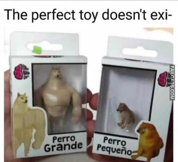 Random Funny Memes 8 6