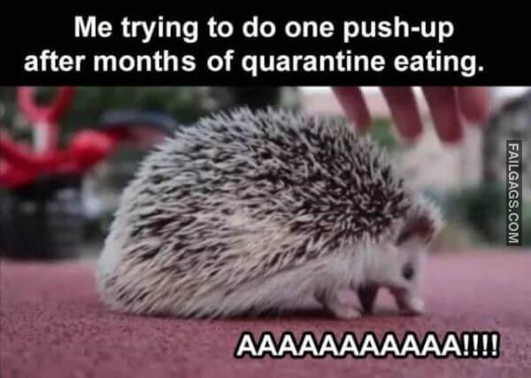 Random Funny Memes 8