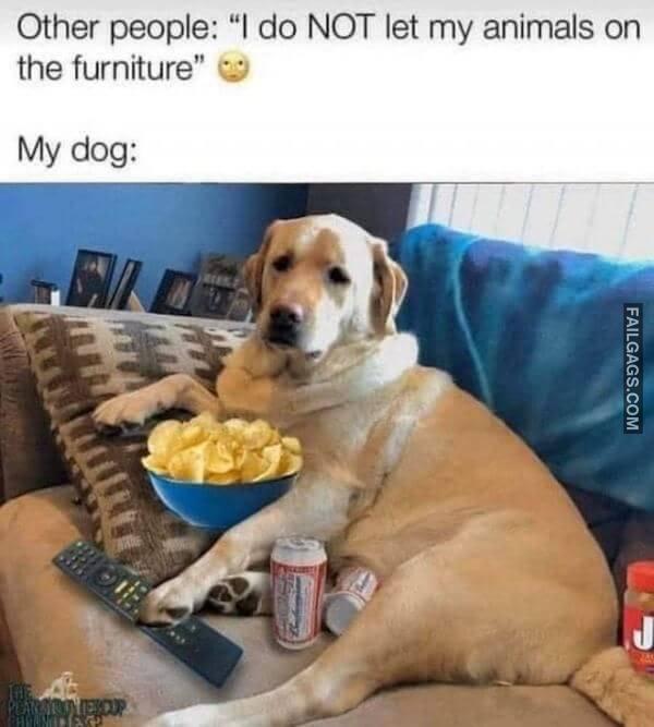 So True Memes 4